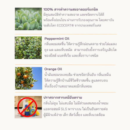 น้ำยาทำความสะอาดอเนกประสงค์ PETTO BONNYS สูตรเข้มข้น กลิ่นเปปเปอร์มินต์และส้ม 600 มล. ชนิดถุงเติม 4 ถุง_2